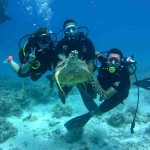Diving 4 Интро Дайвинг в Рас Мохаммед из Шарм эль Шейха