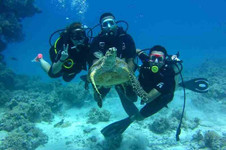 Diving 4 Интро Дайвинг в Рас Мохаммед из Шарм эль Шейха