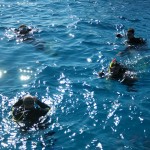 divers 666021 1280 Интро дайвинг на острове Тиран из Шарм эль Шейха