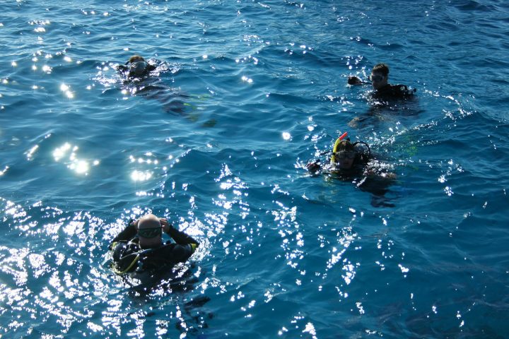 divers 666021 1280 Интро дайвинг на острове Тиран из Шарм эль Шейха