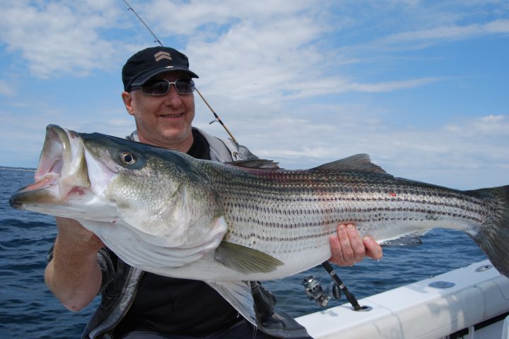 reel deal striped bass fishing charter3 Рыбалка из Шарм эль Шейха индивидуально