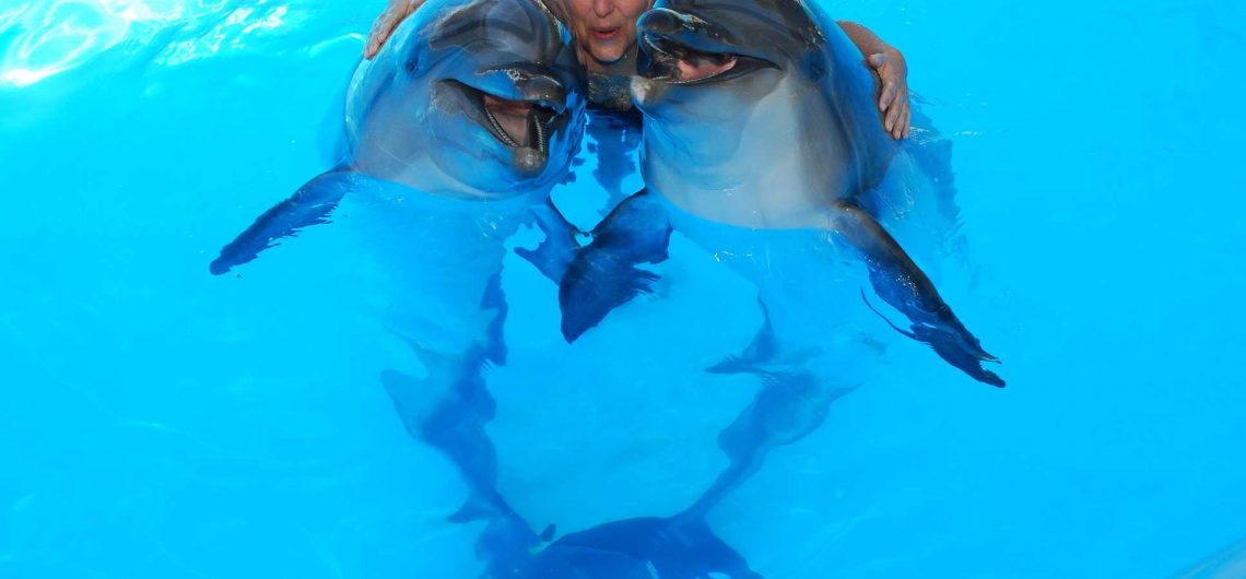 swimm with sharm el sheikh 2344 1 Плавание с дельфинами в Шарм Эль Шейхе