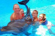 Плавание-с-дельфинами-Шарм